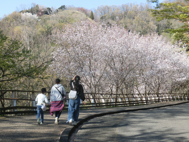 四季折々の景色を身近に