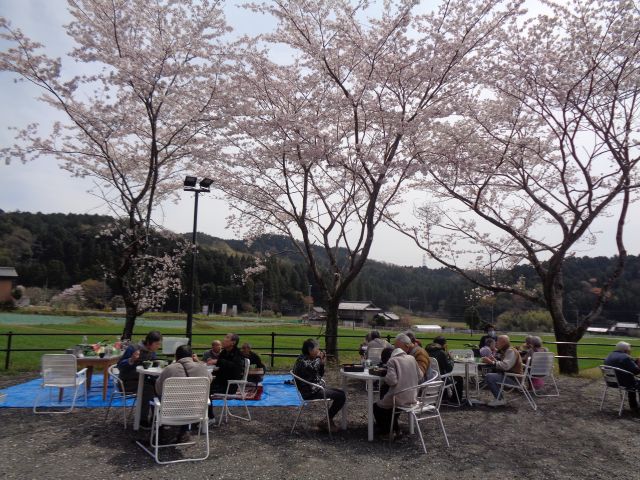 花見