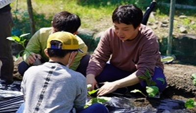 畑の様子