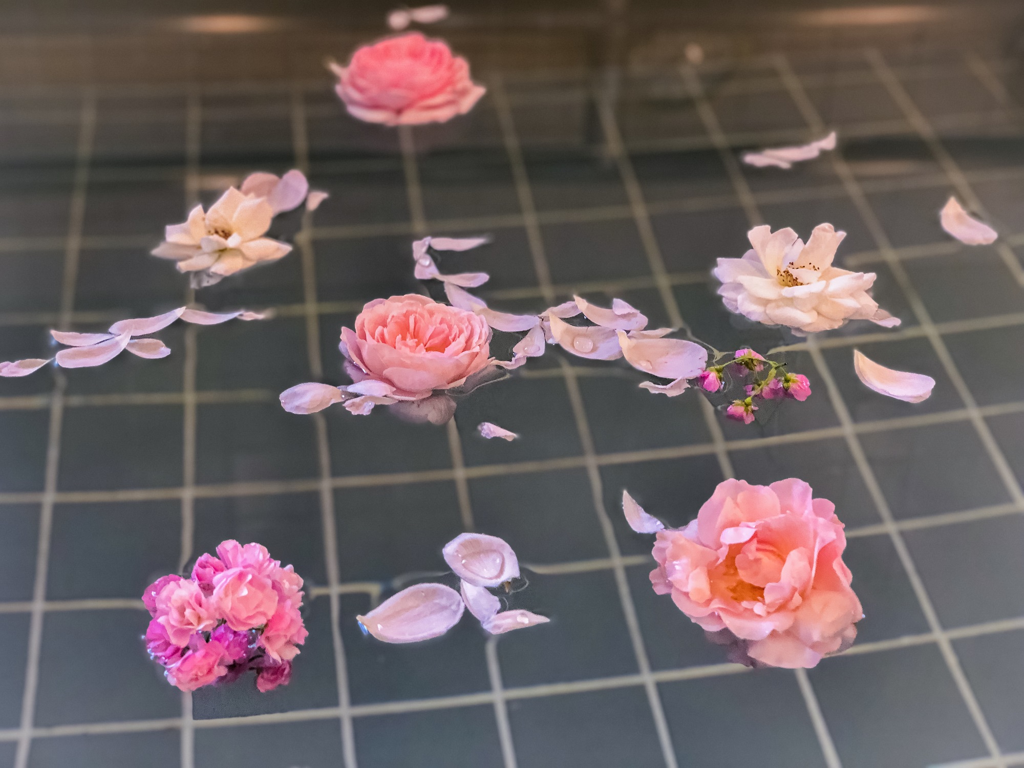 南与野の湯（４）