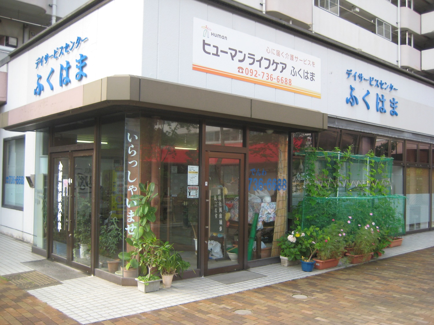 ふくはま（１）