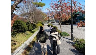 函館旅行