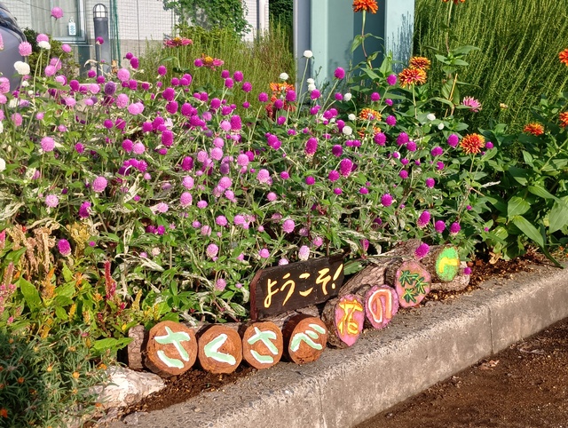 サンライズ花壇