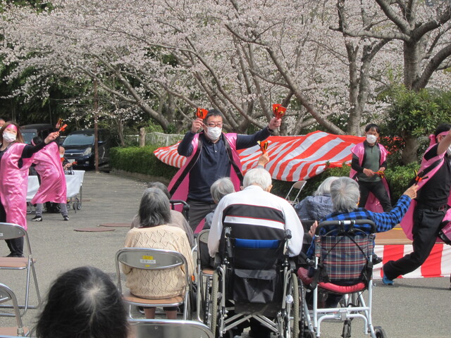 さくらまつりのよさこい