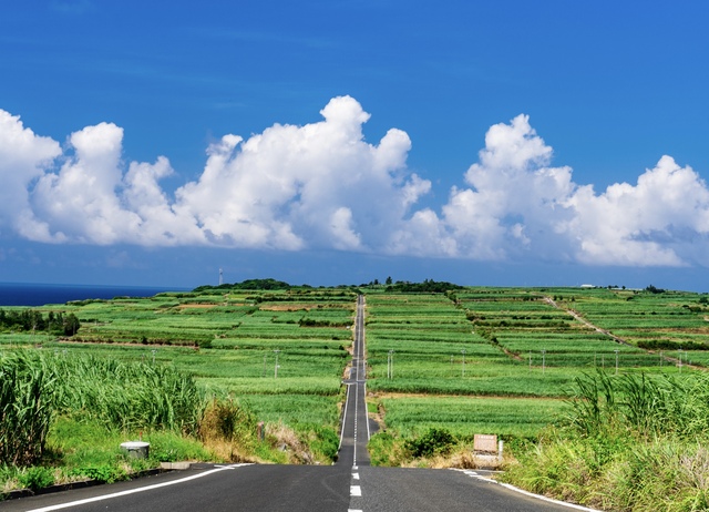 喜界島を代表するスポット　“シュガーロード”