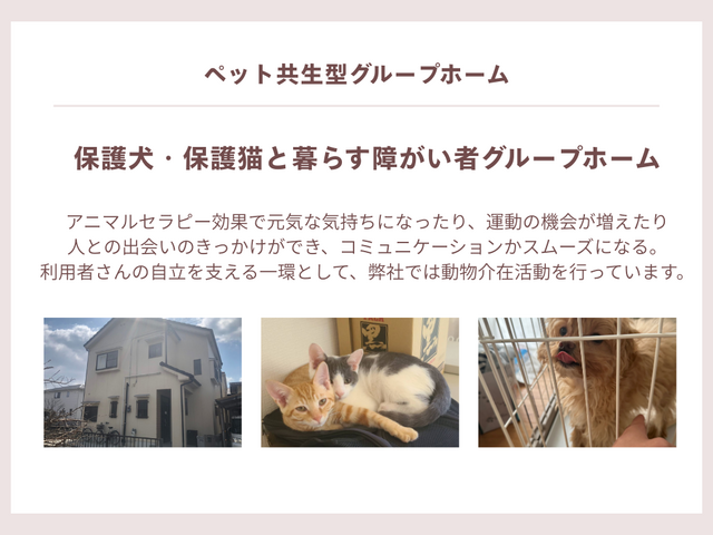 保護犬保護猫と暮らす