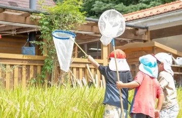 虫取り