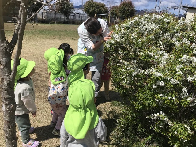 さくらぎ保育園６