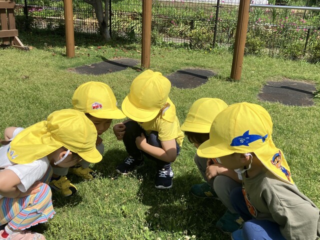 さくらぎ保育園８