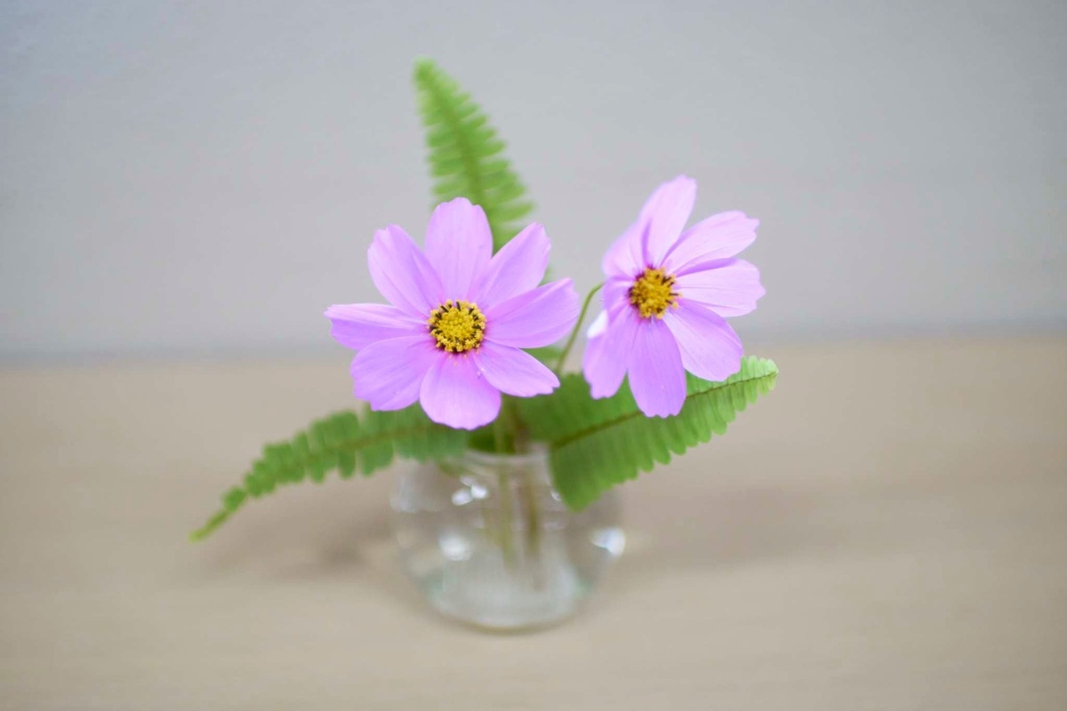良い施設かどうか見極めるには、生花や観葉植物に注目！