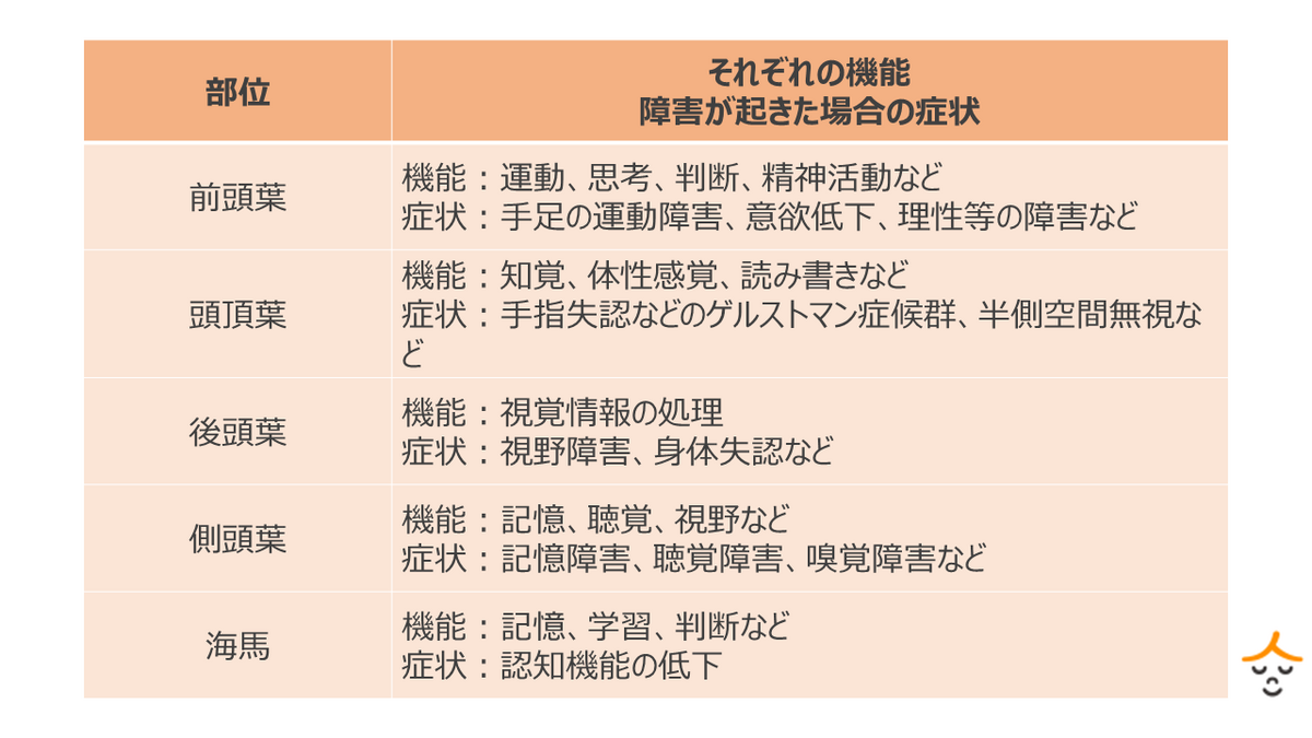 大脳の仕組み