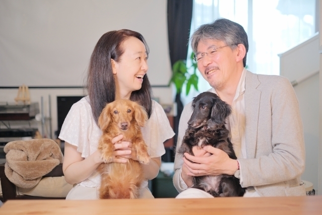 介護施設 アニマルセラピー